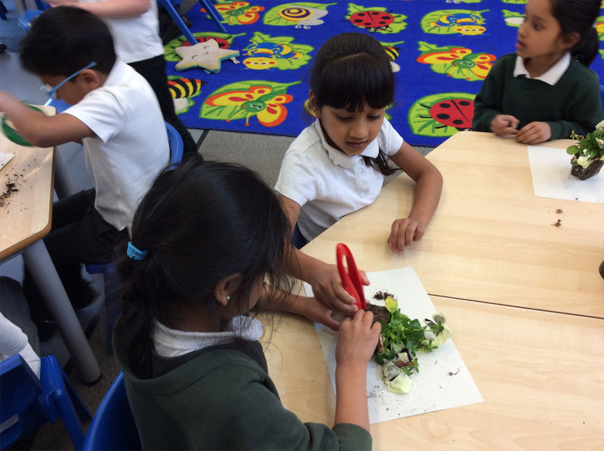 Holy Cross Catholic Primary School