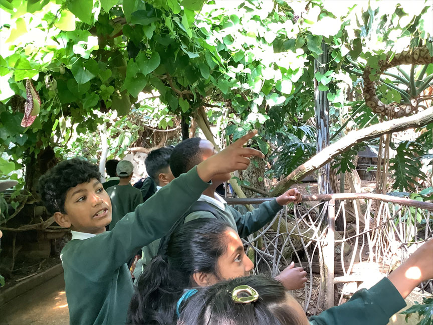 Holy Cross Catholic Primary School