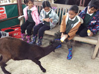 Holy Cross Catholic Primary School