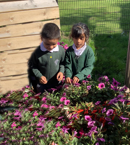 Holy Cross Catholic Primary School