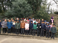 Holy Cross Catholic Primary School