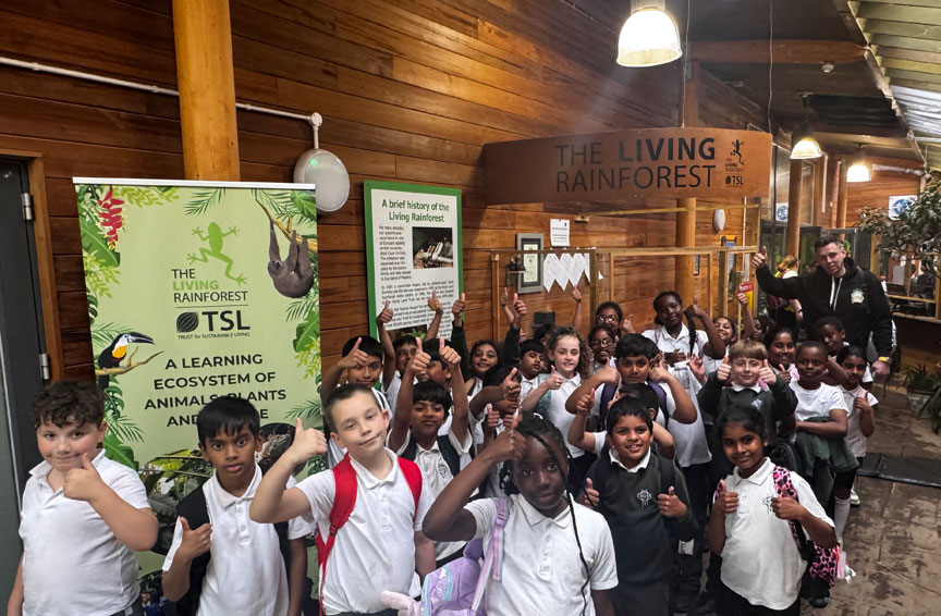 Holy Cross Catholic Primary School
