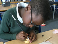 Holy Cross Catholic Primary School