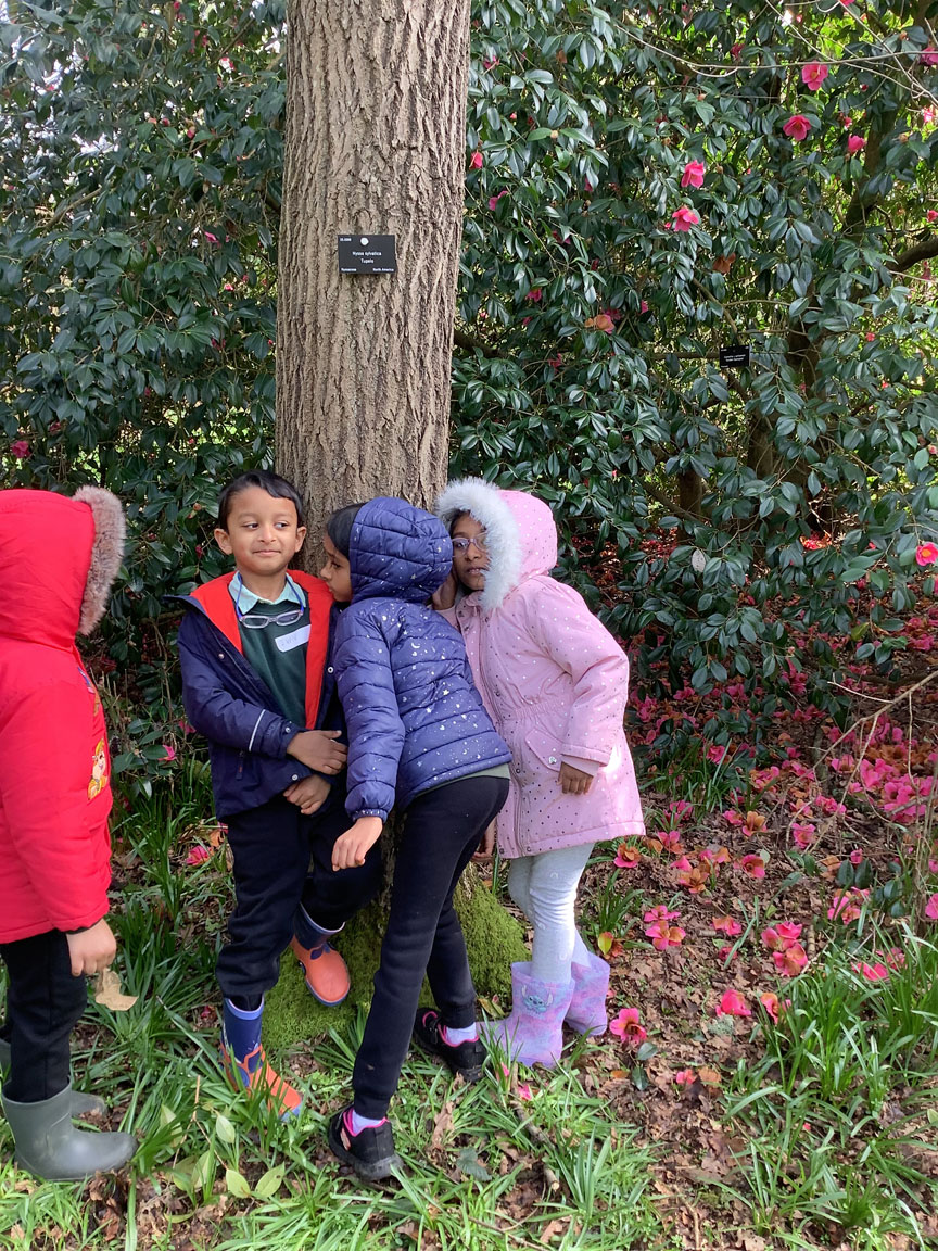 Holy Cross Catholic Primary School