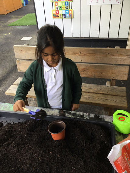 Holy Cross Catholic Primary School