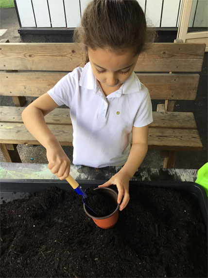 Holy Cross Catholic Primary School