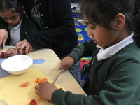 Holy Cross Catholic Primary School